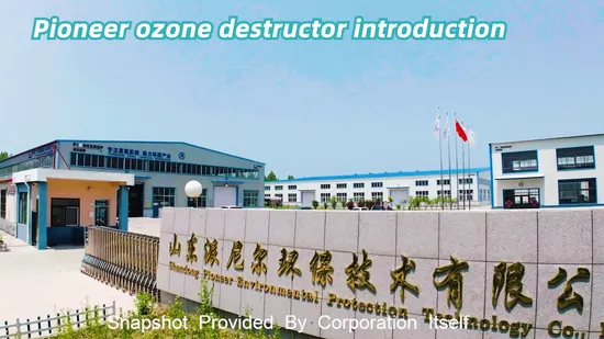 Pioneer Ozone Destructor to Remove Residual Ozone Gas and Ensure safety